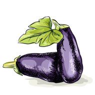 Eggplant N3