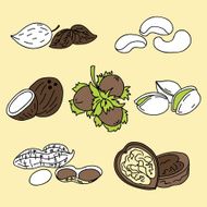 nuts icons N2