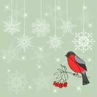 robin xmas background