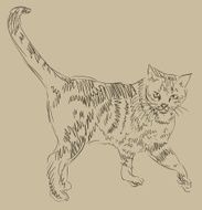Cat drawing simple vector sketch N9