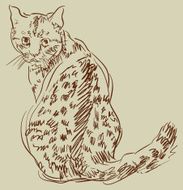 Cat drawing simple vector sketch N11