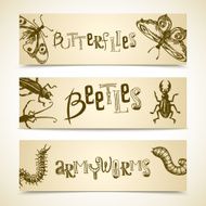 Insects banner set