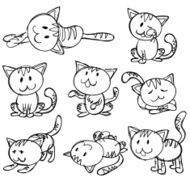 Animal Cat