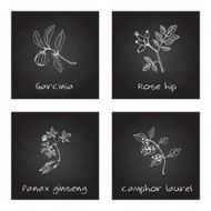 Handdrawn Illustration - Health and Nature Set N45