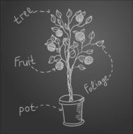 Sketch of tree on black board Vector