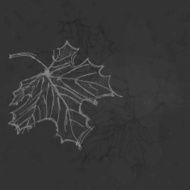Hand Drawn Autumn Background N22