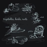 Vegetables herb and roots N14