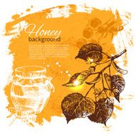 Honey background with hand drawn sketch illustration N7