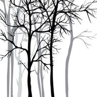 Vector background with trees N5