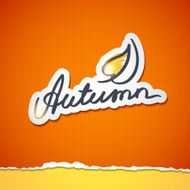 Autumn N26