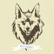 Marker hand-drawn forest animals fox N2