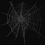 Vector Black Widow Spider on Spider&#039;s Web N2