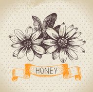 Honey background with hand drawn sketch illustration N9