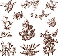 Floral doodles N3