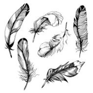 Feather set N9