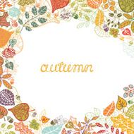 Autumn Vector composition Leaves branches berries acorn