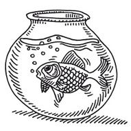 Gold Fish Bowl Water Drawing