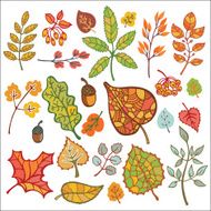 Set Decorative Autumn leaves berries acorns N4