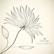 flower background concept of lines style N16