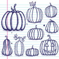 Set of Hand-Drawn Pumpkins on Paper