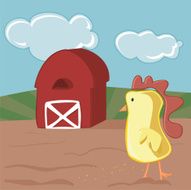 Baby Rooster N2