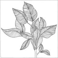 Doodle leaves Print-illustration