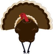 Sketchy Turkey N2