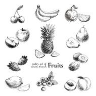 Vector set of hand drawn vintage fruits and berries