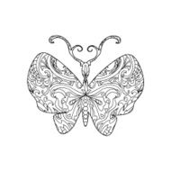 butterfly zentangle N2