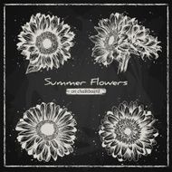 Stylish floral background hand drawn retro flowers gerbera and sunflower