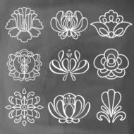 Set hand drawn white lines flowers isolated on chalkboard backgr