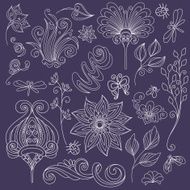 Vector Floral Collection of Hand Drawn Design Elements N3