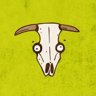 steer skull