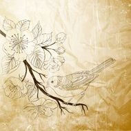 Hand drawn bird on sacura branch N2