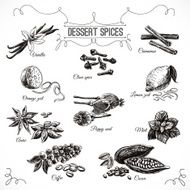 Vector hand drawn set with Dessert Spices N2