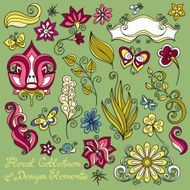 Vector Floral Collection of Hand Drawn Design Elements N4