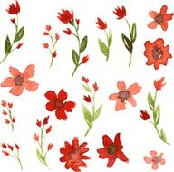 Set of watercolor drawing red flowers