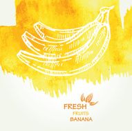 Watercolor background with banana in vector