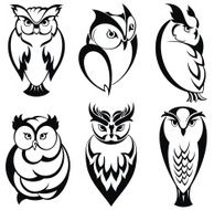 Isolated owl birds in tattoo style