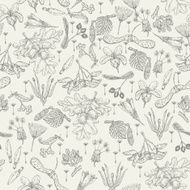 Seamless pattern with realistic seeds plants flowers in doodle design N3