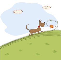 cute dog who smells a flower on meadow