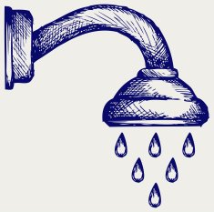 Shower Head