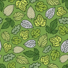 spring pattern N2