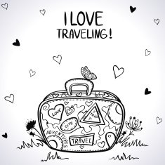 Travel Suitcase N4