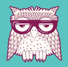 Owl in glasses Vector illustration
