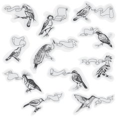 Hand drawn Birds with Signs