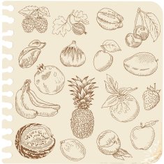 Sketchbook Fruits