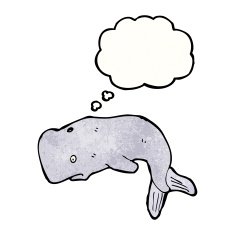 Cartoon Whale N145