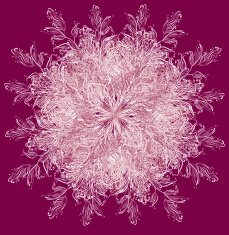 Abstract snowflake N2