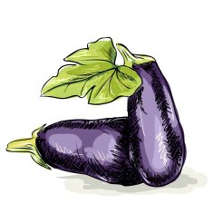 Eggplant N3